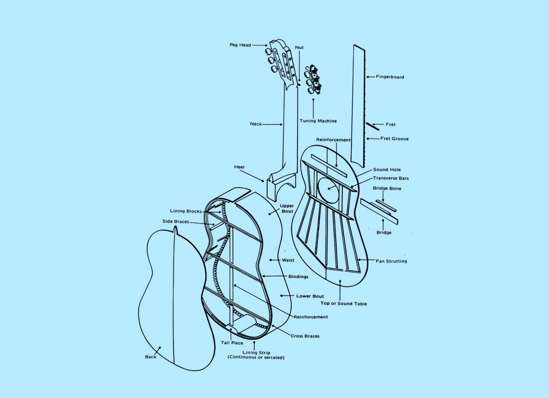 Схема гитары. Строение акустической гитары схема. Строение акустической гитары внутри. Устройство классической гитары схема. Строение гитары классической схема.