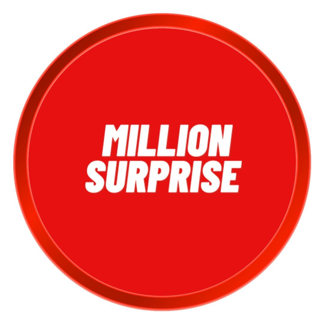 Million Surprise - Organizarea surprizelor