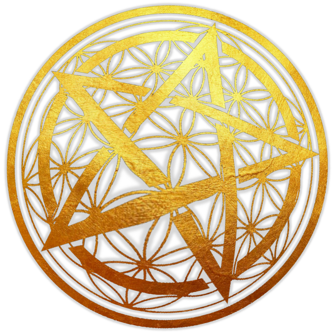  Инна Флейман 