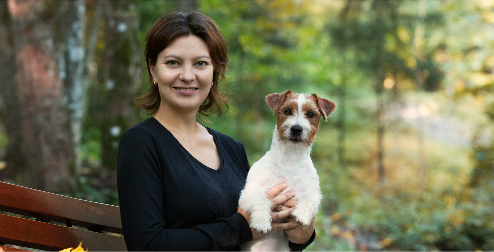Джек рассел терьер брокер