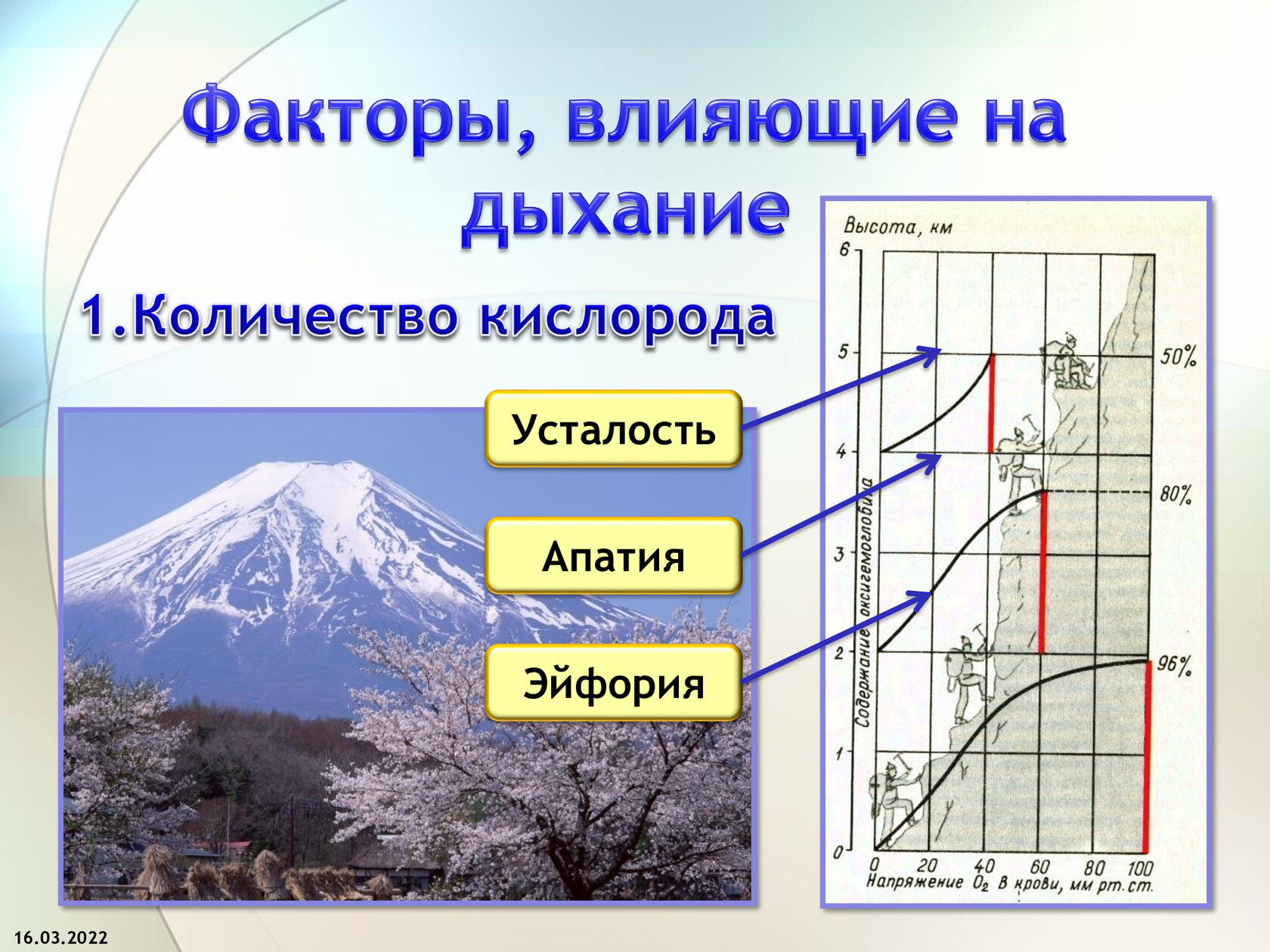 Кислород уровень высота. Концентрация кислорода по высоте. Кислород по высотам. Факторы влияющие на дыхание. Содержание кислорода по высоте.