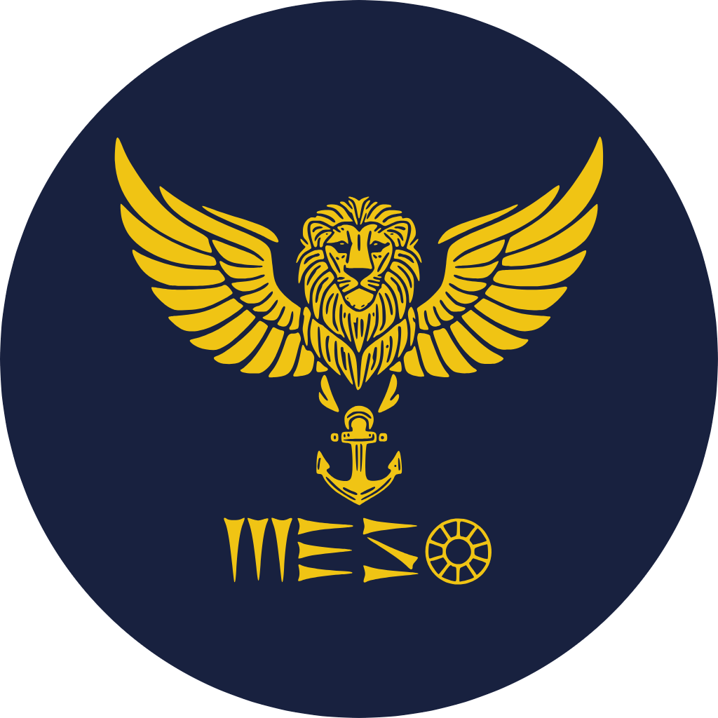 MESO GROUP