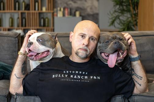 Питомник Американский булли Bully Ranch P&N