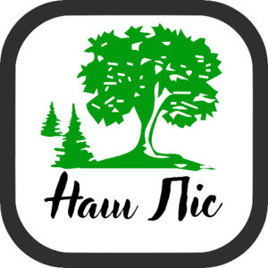 website icon