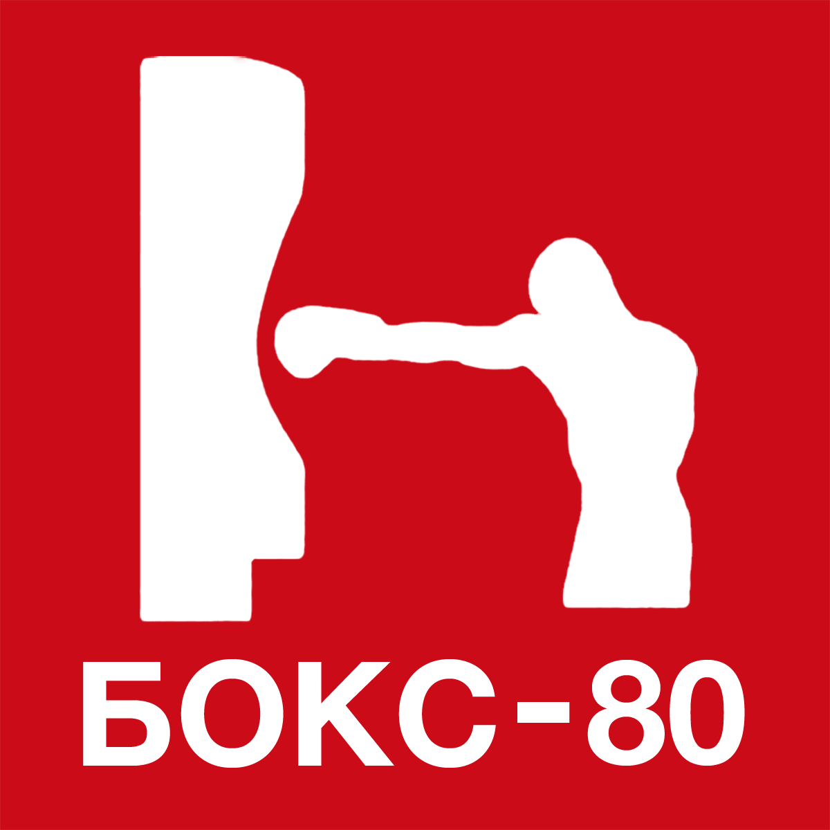  БОКС-80 