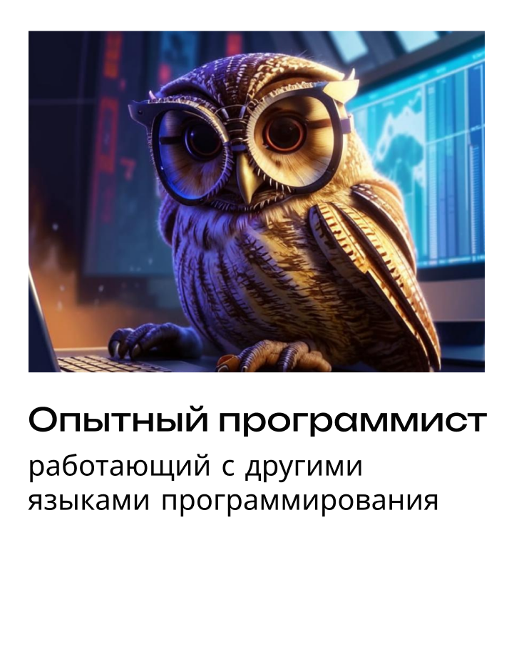 полароид карточка сова опытный программист 