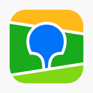 website icon