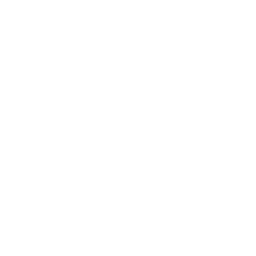 Motorcycle Shorts