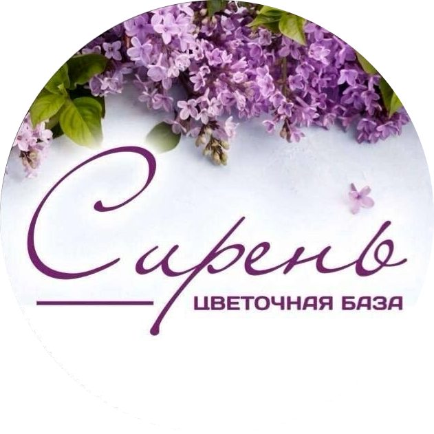 Цветочная База Сирень