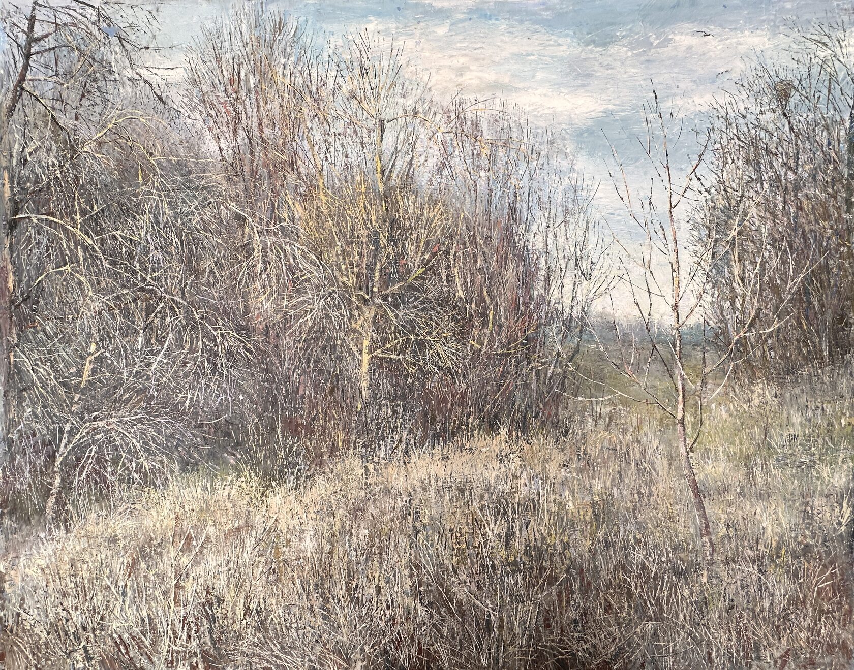 Природа — один ключевой персонаж, второй — размышление: о цикличности времени, наслаждении морозами и поиске тепла внути самого себя. В зимних и поздне-осенних образах создается гармония, ведущая художницу в сезонном путешествии, нескончаемом повторении циклов — рисунок вечности.