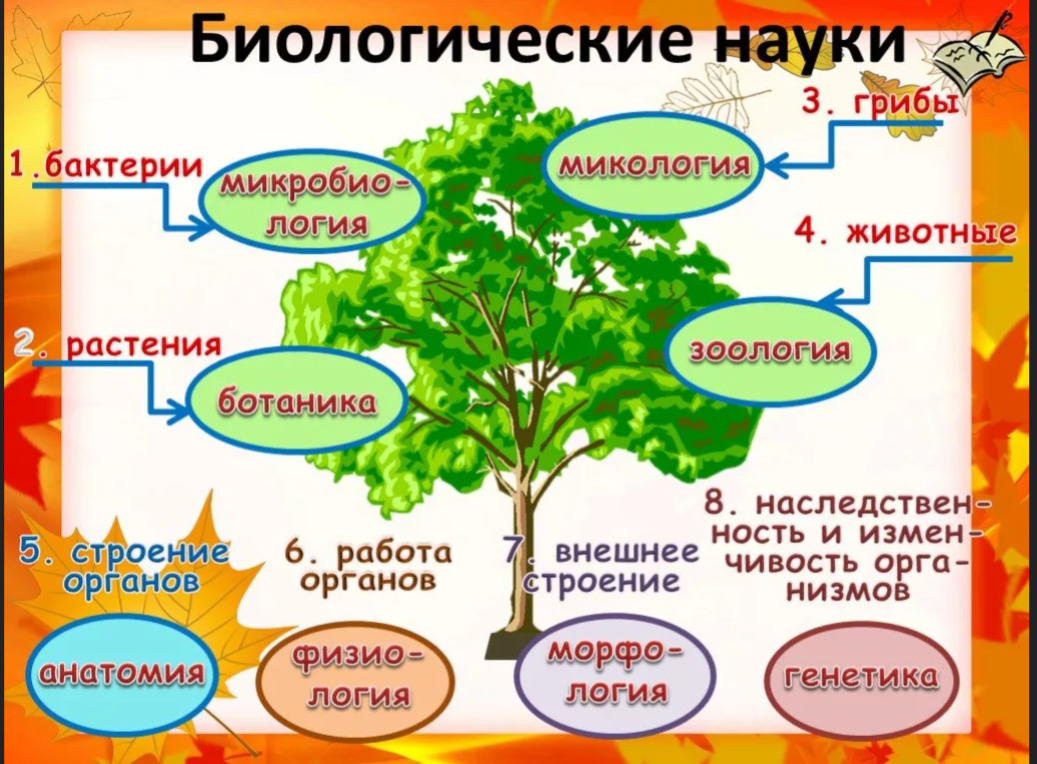 План проекта по биологии