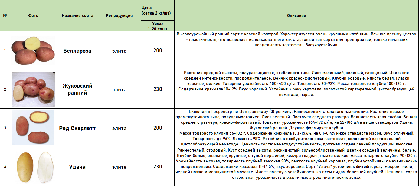 Где В Липецке Можно Купить Семенной Картофель