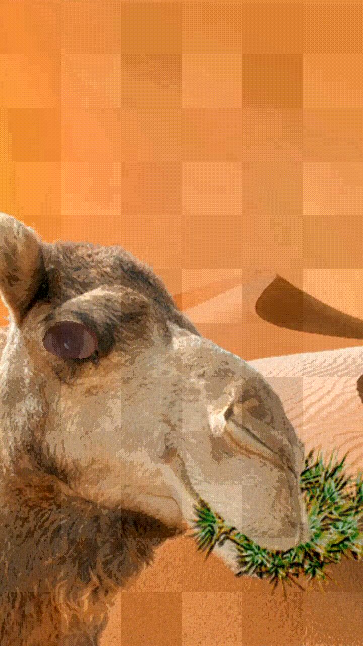 готовые Инстаграм маски