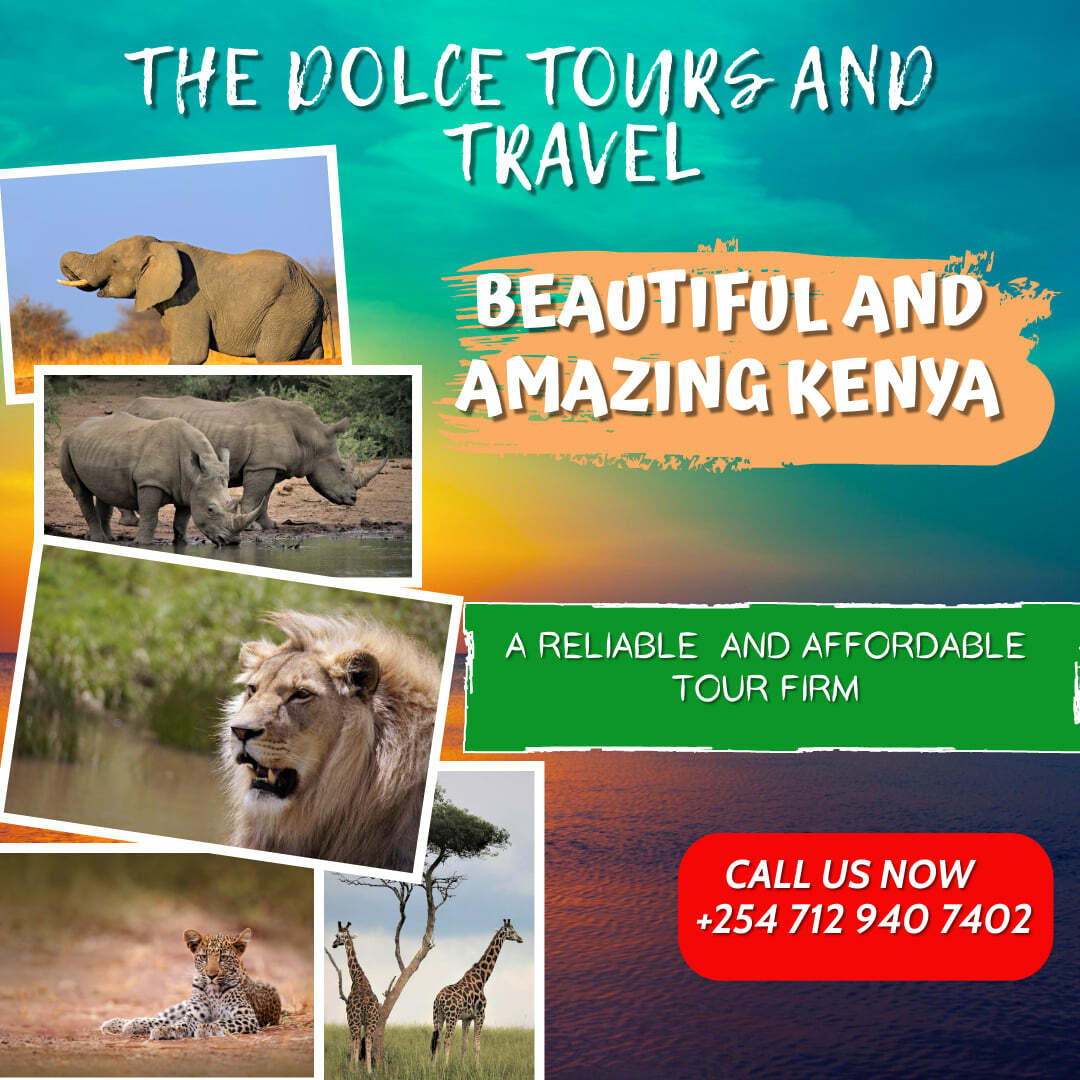 The Dolce Tours and Travel