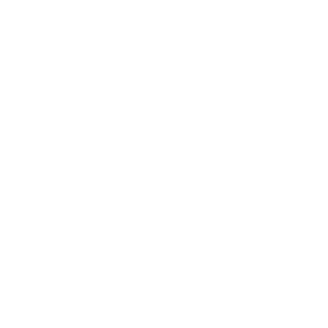 website icon