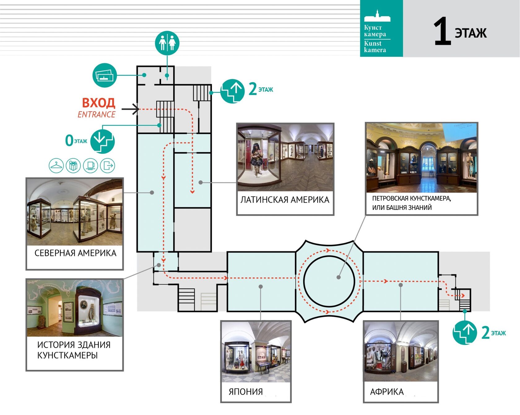 Кунсткамера схема залов