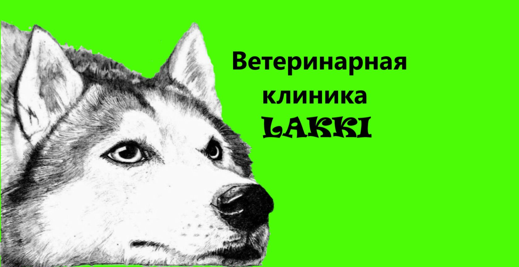 Ветеринарная Клиника LAKKI