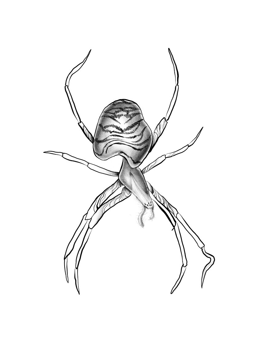 Кристина Кравченко эскизы