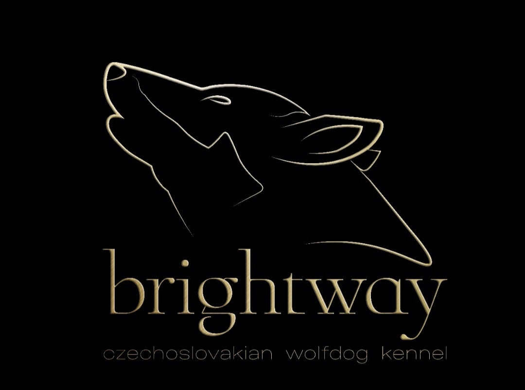  Bright Way 