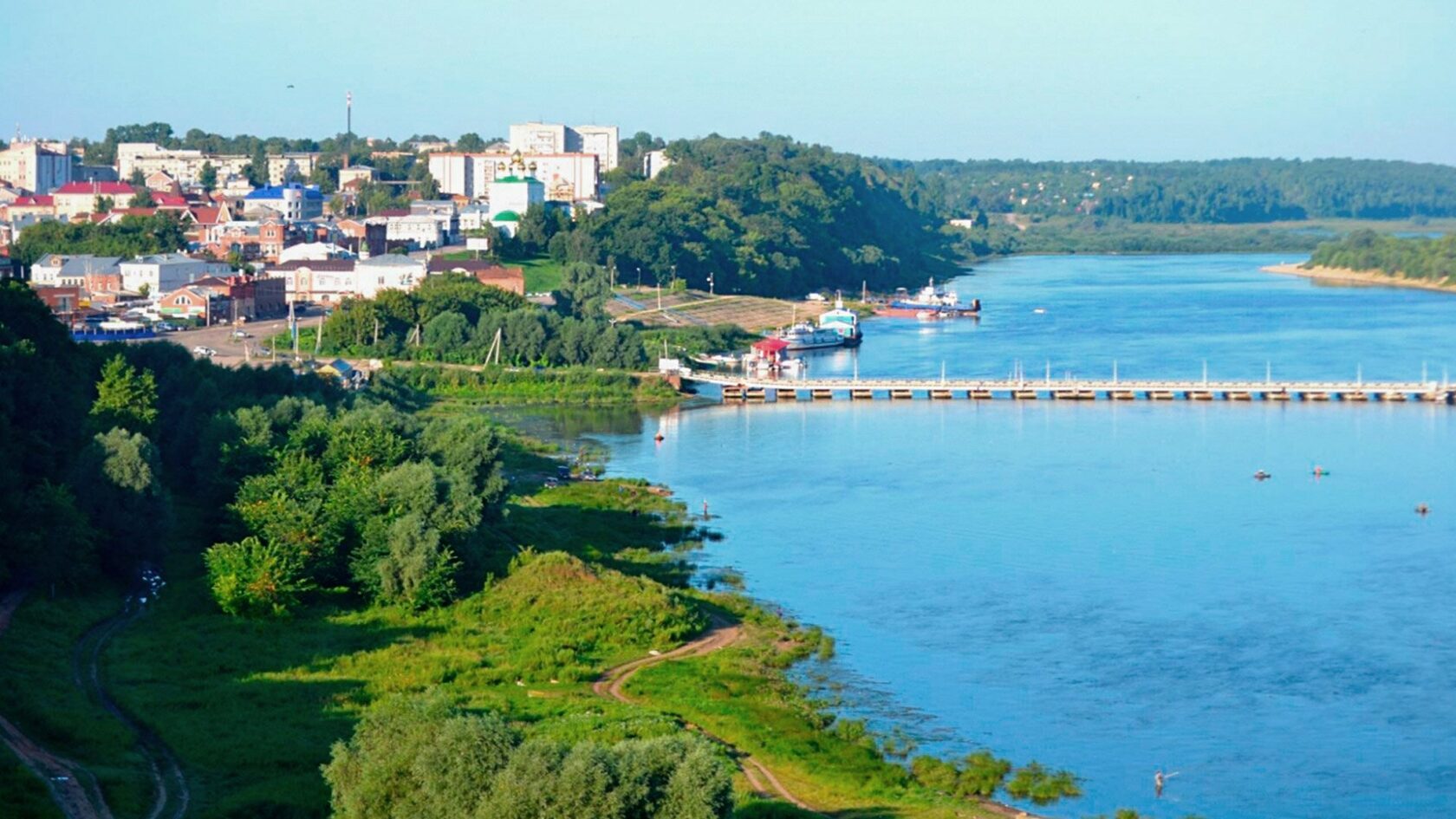 Купить Котенка Нижегородской Области Павлово