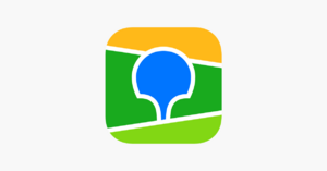 website icon