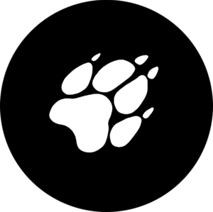 website icon