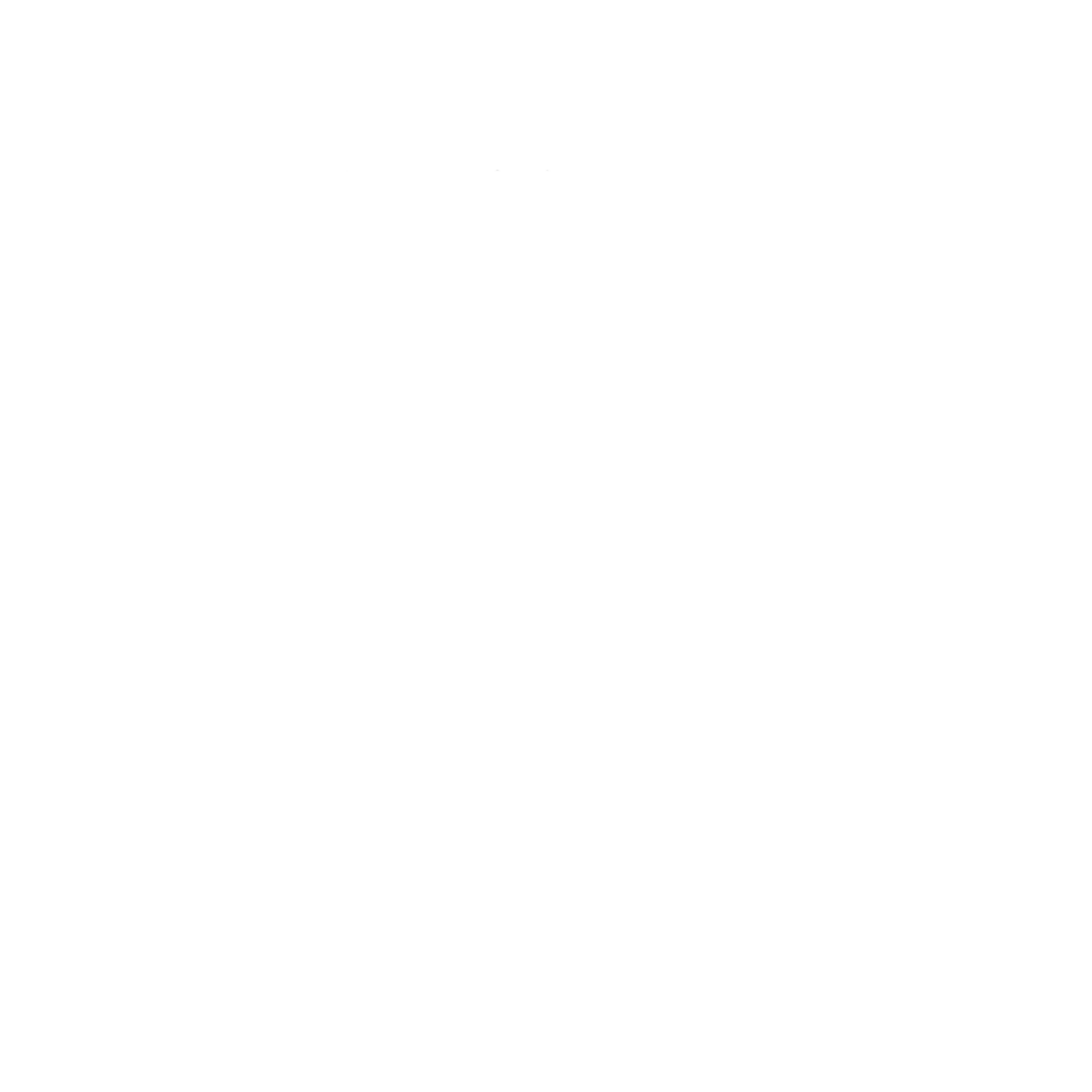 MKSVTN INC