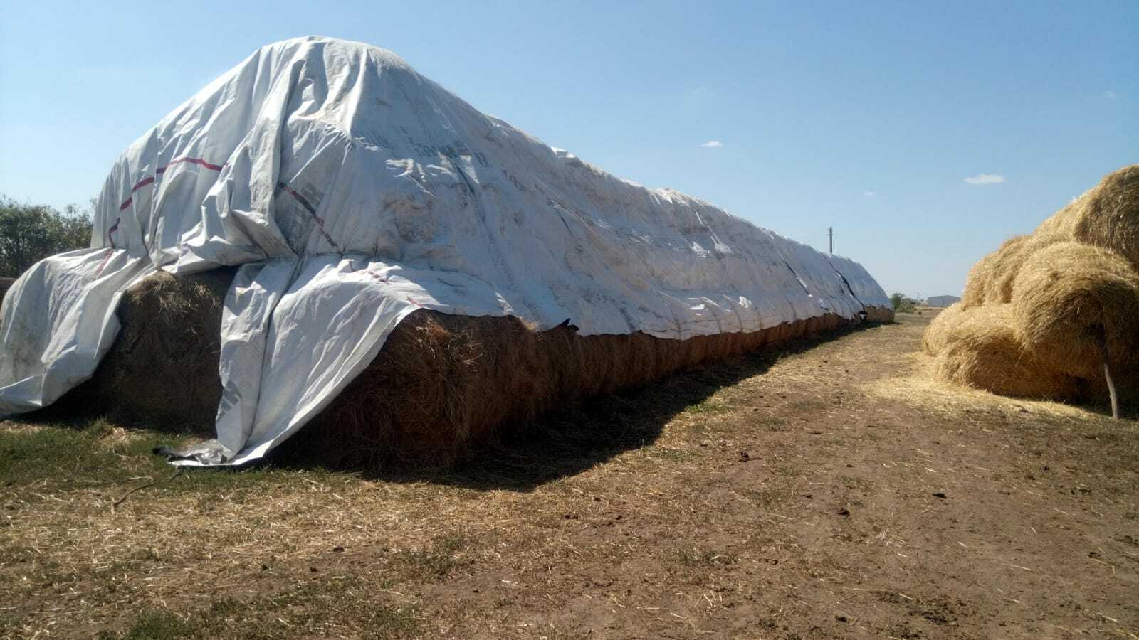 Купить Баннер Бу Недорого В Рыбинске