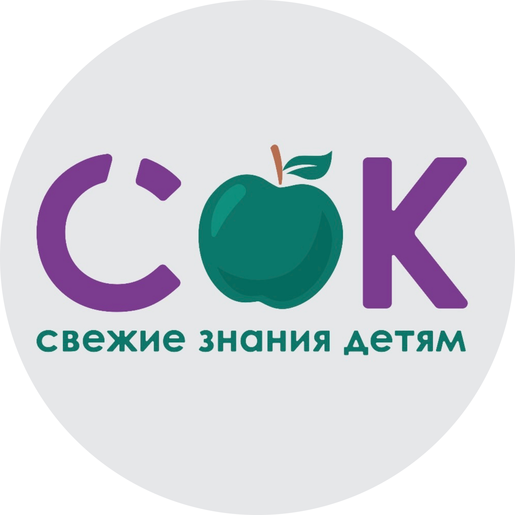 Детский развивающий клуб СОК