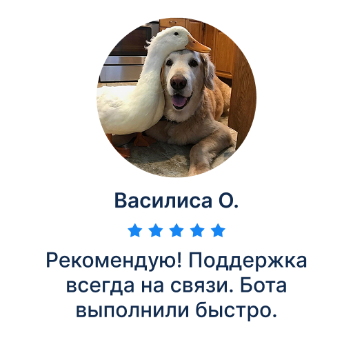 Передняя сторона