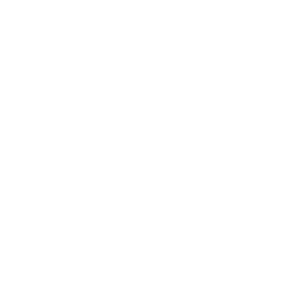 website icon