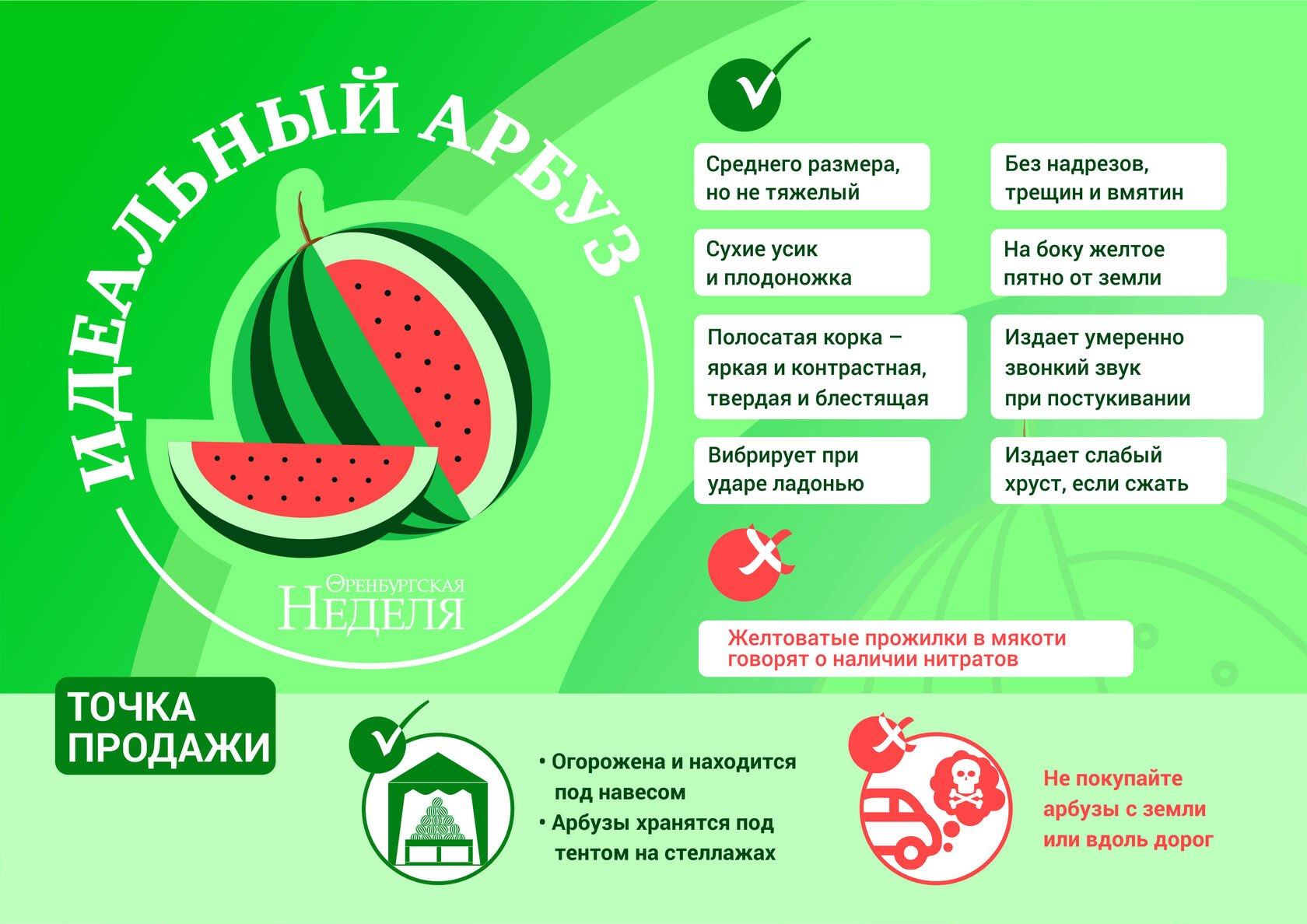 Чем заменить арбуз в диете без спорта