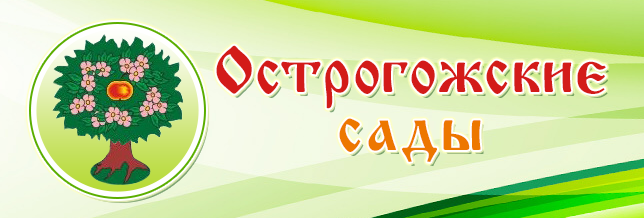 Острогожск сад. Острогожский сады логотип. Острогожские сады. Острогожск садик 15.