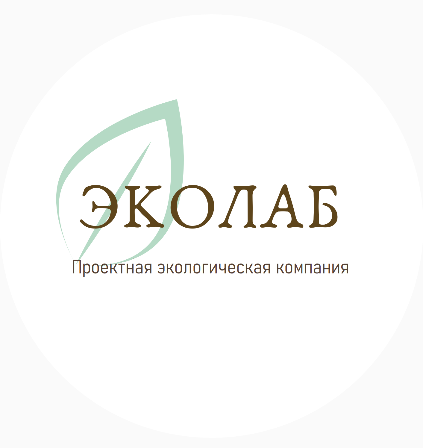 Экологическое проектирование. Экоаудит и консалтинг. Проектная ...