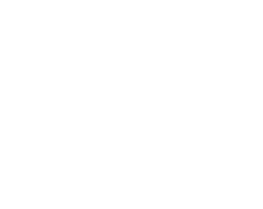 AushigerSity