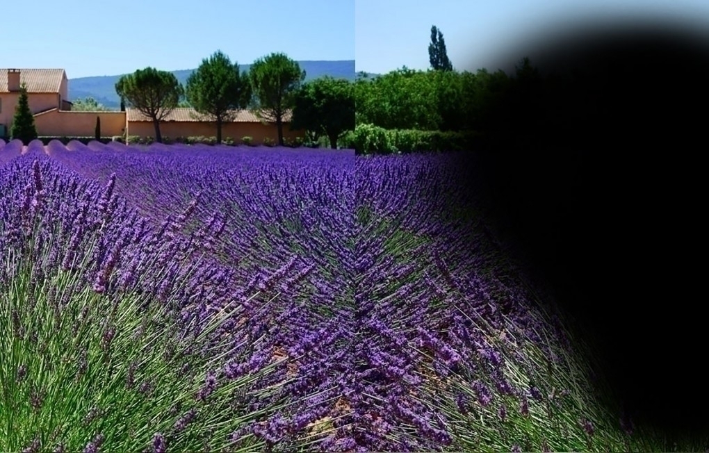 Конъюнктивит. Отслоение сетчатки. Лечение. Иглорефлексотерапия.