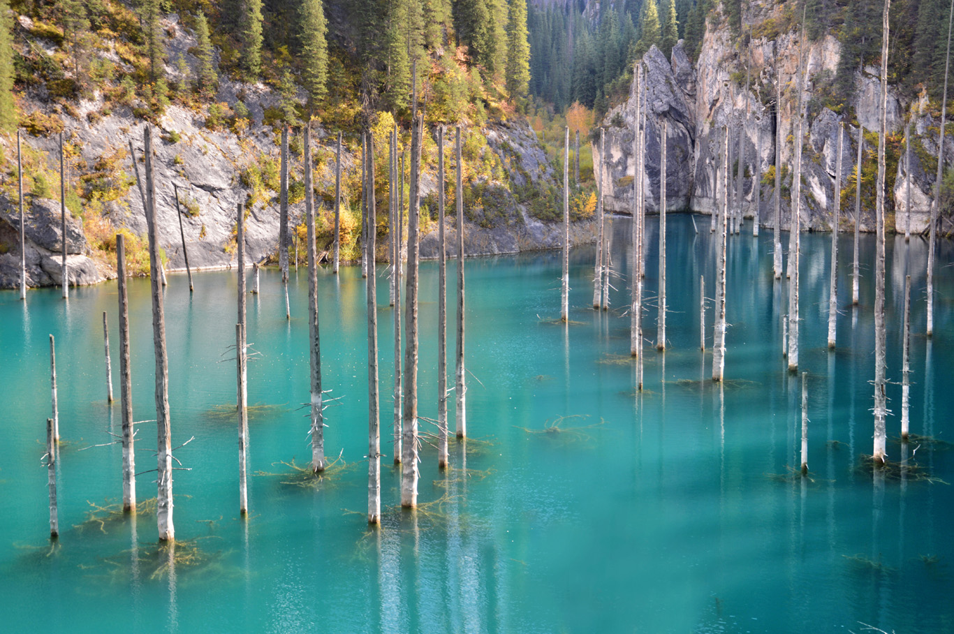 Lakes озерная. Озеро Каинды в Казахстане. Мёртвое озеро Казахстан. Затонувший лес в озере Каинды. Озеро Казахстане Мертвое озеро.