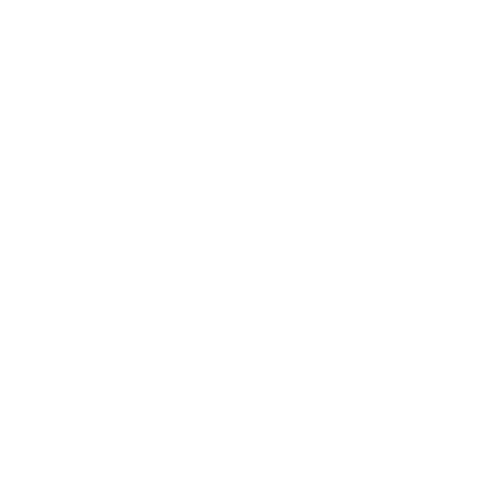 Bitsoft LLM