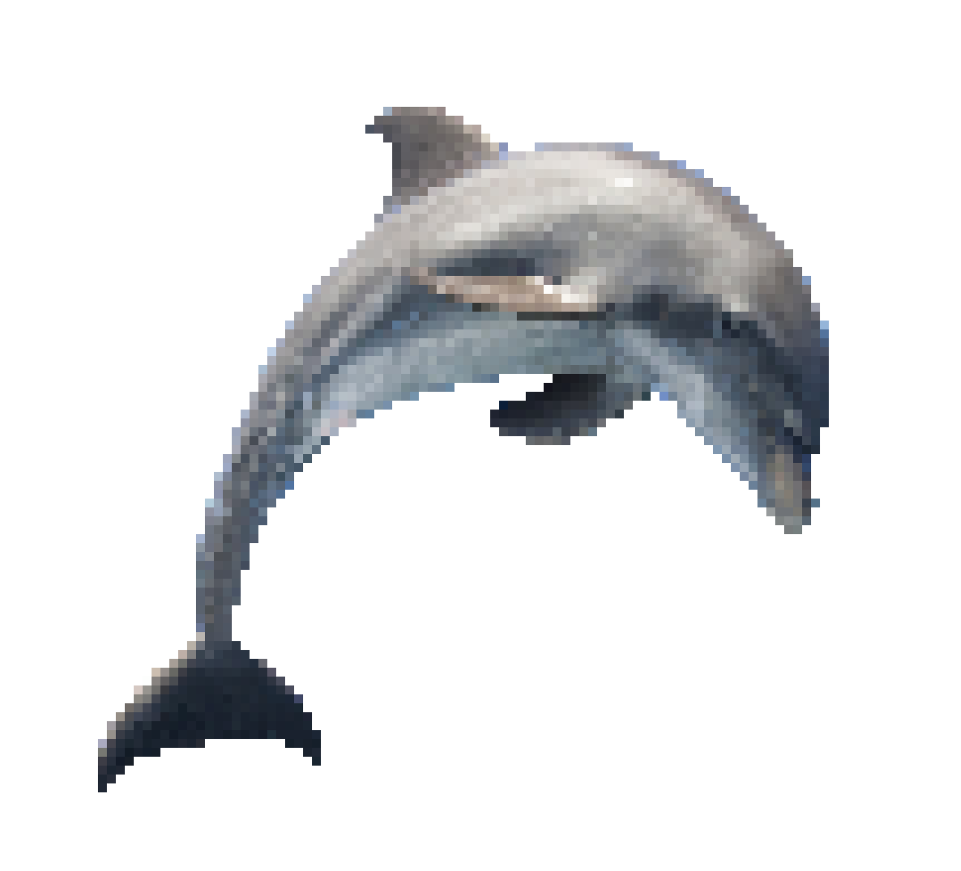 СПАСТИ КИТА