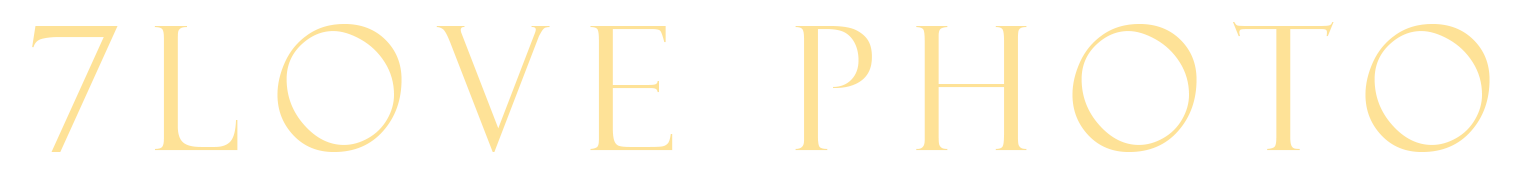 Портфолио
