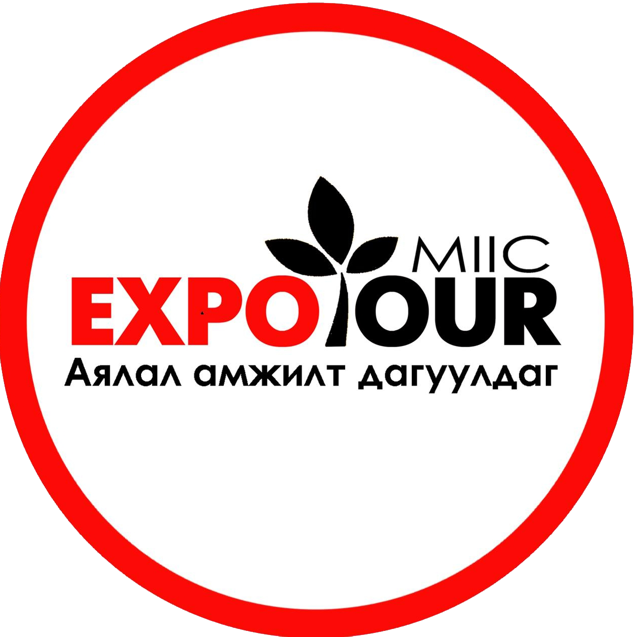EXPO TOUR LLC