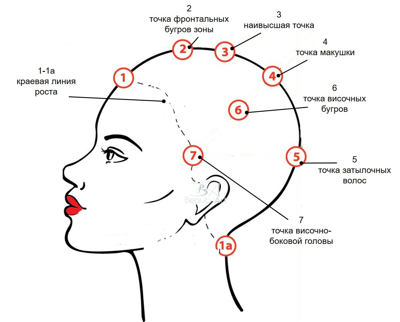 Рисунок моники 7 точек