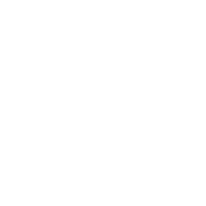 website icon