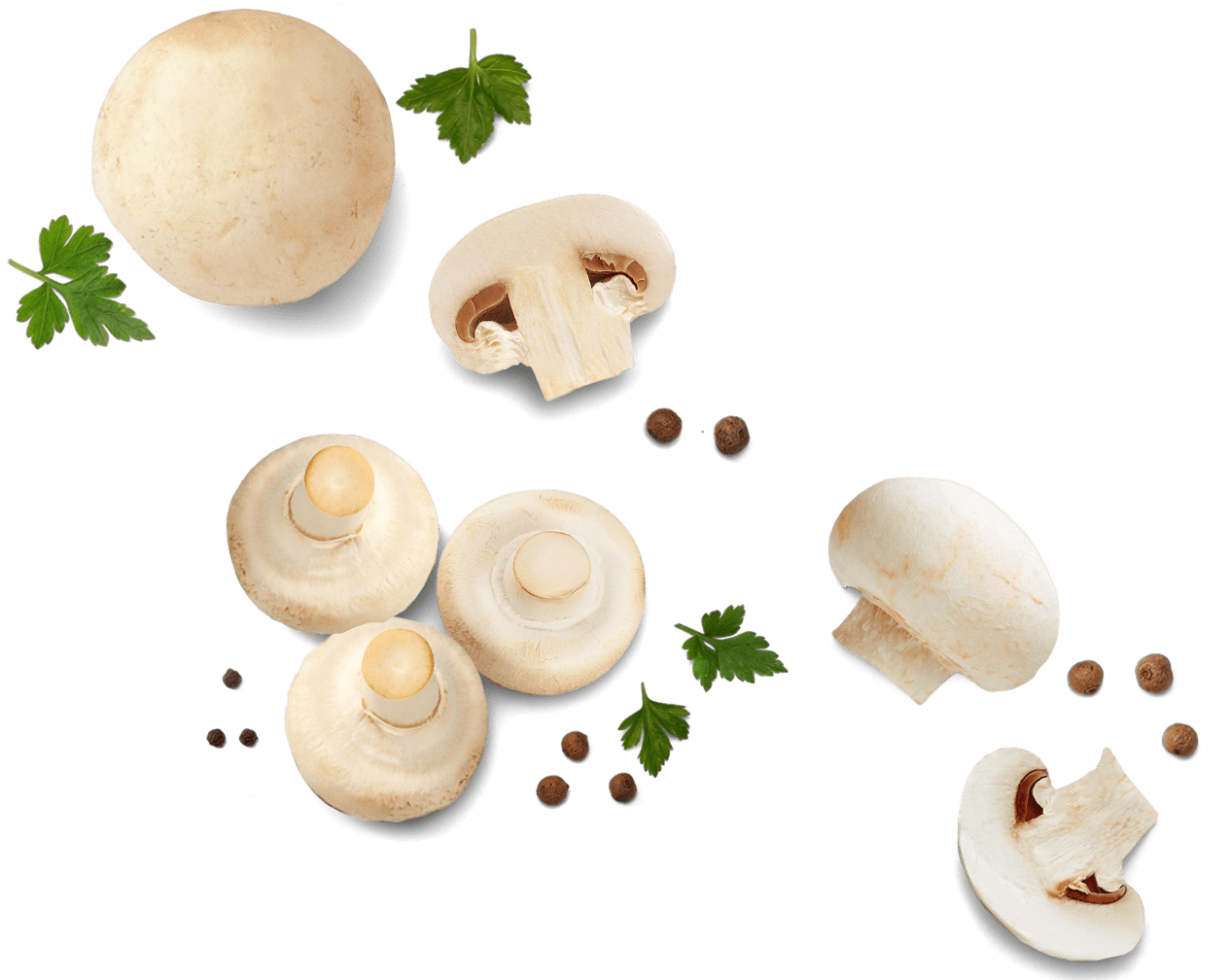 шампиньоны оптом, купить шампиньоны оптом, шампиньоны оптом цена, грибы шампиньоны оптом, шампиньоны купить