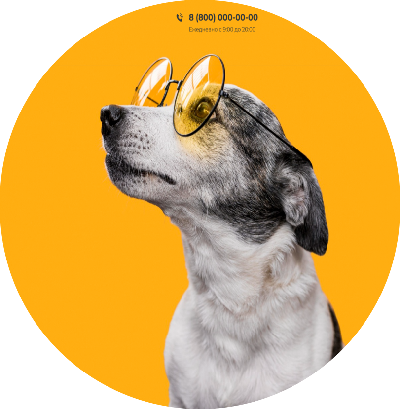 рекламный макет ветеринарной клиники