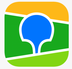 website icon