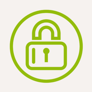 website icon