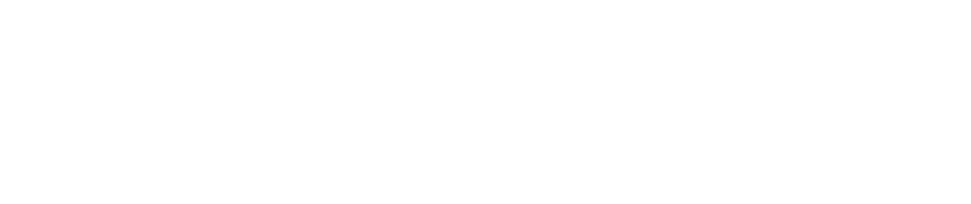 EDSEL - Skoltech