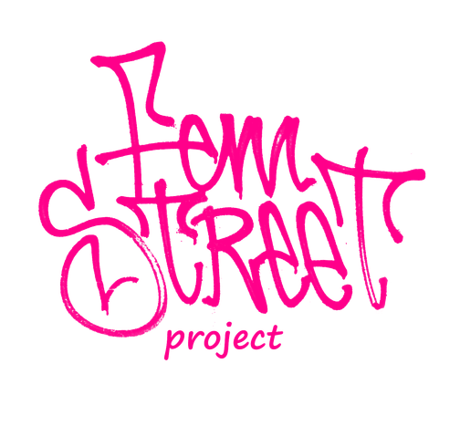 Representative overview image of Femstreet Project