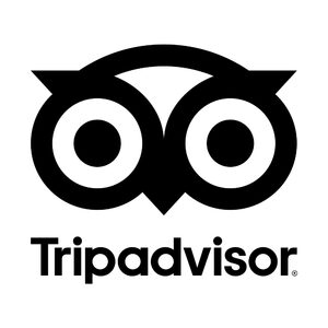 website icon